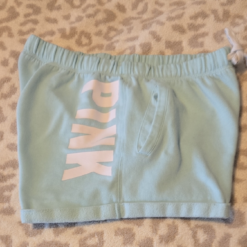 Pink Logo Baby Blue Shorts